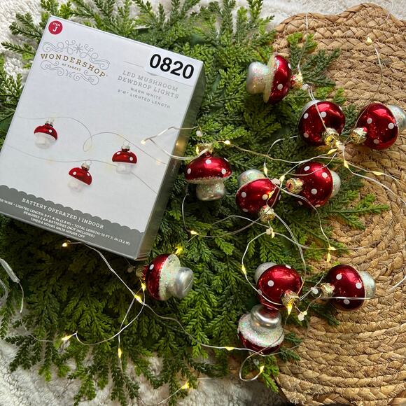 Mushroom Dewdrop Lights LED Red Warm White String Timer Battery Operated - Picture 1 of 9